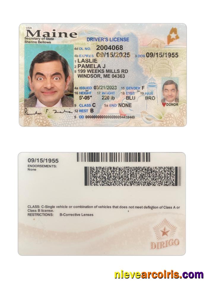 USA Maine driving license 2023-present
